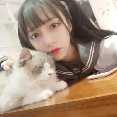 幻想精灵2应用宝版下载